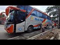 Angkatan Pagi⁉️Agra Mas 27 Trans Stj Masih Mendominasi Terminal Ponpin‼️#busmania #agramas #stj