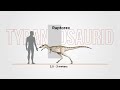 Every Tyrannosaurid, explained.