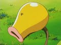 Muk vs. Bellsprout! | Pokémon: Adventures in the Orange Islands | Official Clip