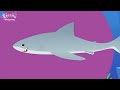 Kids vocabulary - Sea Animals - Learn English for kids - English educational video