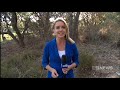 Senate Inquiry into Lyme Disease  - Nine News