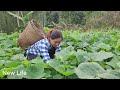 TIMELAPSE : Attacked by bad guys - Harvesting agricultural products to sell