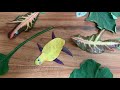 #leafart #How to make fish in leaf #Art&craft activities #Leaf art Fish #Sea animal leaf art #kids