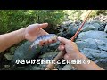 【驚愕!】荒れ沢の源流モンスターヤマメ！