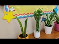 Second Grade Classroom Tour  #2ndgrade #classroomdecoration #primaryschool #classroomtour