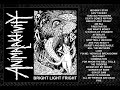 Animalaktivity - BRIGHT LIGHT FRIGHT (2024)