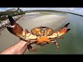 3 Days Eating Whatever We Catch - Jellyfish, Crab, Shrimp n' Fish