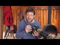 3 BEST NIKON TRICKS IN 3 MINUTES | best custom settings for wildlife photography [photo friday]