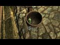 Skyrim ep1: just the intro to the game