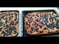 Schiacciata con l'uva toscana (ultima parte)