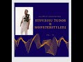 STSV (Sisu Tudor & MonsterStyleDj) - MIXTAPE 2022 Vol. VI