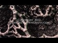 3D Fractal Animation: Surface III - A Tonal Triptych