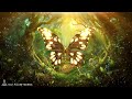 🦋 The Butterfly Effect ✧⭒ 1111 Hz ⭒✧ Attract Miracles, Love & Wealth ⭒✧ Law Of Attraction
