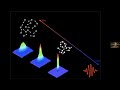 Quantum Simulation of Relativistic Physics with Atomic Bose-Einstein Condensates