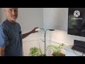 Honest Review of the Glowrium House Plant Light .  Approved!!! #houseplants #gardening #light