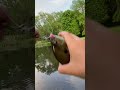 Nice fishing in a new pond