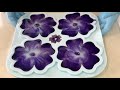 Flower Coasters - Beautiful Purple Geranium