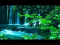 Natural environmental sounds ASMR / Sounds of rivers with spring water / Chirping birds