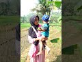 keluarga Ngapak part 11//keseruan Bocil Super Aktif Girang Banget Main ke sawah