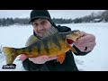 Ice Fishing 2023 For Jumbo Perch And Panfish