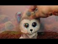 Sugar - Beanie Boo Music Video