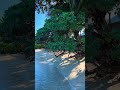 Pereybere Willa’s beach. 🏝️ Cutting of Palm tree leaning towards the beach. ✨🏝️ #islandlife