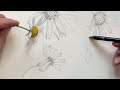 Nature's Beauty in Pencil: Easy Wild Flower Drawing Tutorial