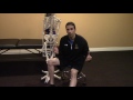 Back of knee pain/stiffness? Popliteus muscle tightness