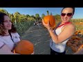 LOST IN A SPOOKY PUMPKIN PATCH: Quest for the Best Pumpkin!