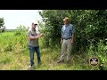 Habitat Bobwhite Quail NEED!! | Woody Cover