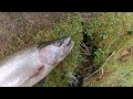 March Madness STEELHEAD Compilation | NO B.S JUST FISHING