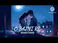 O sajni re (slowed+reverb) song #arjitsingh