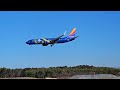 In Plane Sight! Lots of airplanes, truck horns, and bloopers at BWI Airport