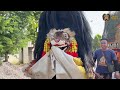 Meriah !! Arak Arakan Barongan Blora dan Reog Ponorogo Seni Barong Singo Kubro