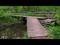 Cutchenmine Trail MTB Ride, Lake Guntersville State Park in Alabama