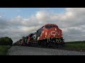 Two CN Trains at Holly Road near Irvington, IL