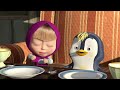 💥سلسلة جديدة 🤖🛎 في خدمتك 🐻 ماشا والدب 👱‍♀️ Masha and the Bear