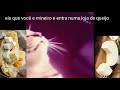 Meme gato queijo