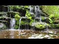 Light Gentle Waterfall Sounds for Ultimate Relaxation, Soothing Nature Sounds