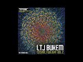 LTJ Bukem - Cosmic Twilight Vol 2 @ Tipper & Friends, Spirit Of Suwannee Music Park 3rd April 2022