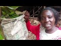 Rural Village Lifestyle in Africa||How to Make Banana Cakes.