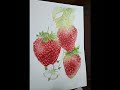 REALISM STRAWBERRIES WATERCOLOR PAINTING | BEGINNERS EASY STEPS