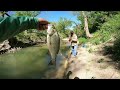 White bass fishing willis creek p1 #whitebass #texas #pesca #bank fishing #granger