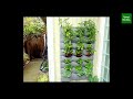 Take advantage of summer days, design an indoor herbal garden to reduce stress