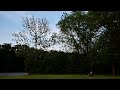 Evening birdsong at the river, Marseilles, Illinois - June 6, 2020