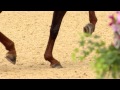 Equestrian - Show Jumping - Individual Finals | London 2012 Olympic Games