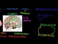 Biological basis of depression | Behavior | MCAT | Khan Academy