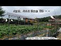 (직접찍은) 5월시골풍경, 새소리 들으며 힐링해요(1시간)#새소리#힐링#5월 시골풍경#잘때들으면좋은