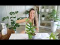 Greenspaces Unboxing | How I Import + Rehab Plants