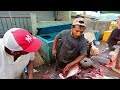 අමු මාළු කන අයියා මලෝ 😱 || Unbelievable !!  Raw fish eating two brother